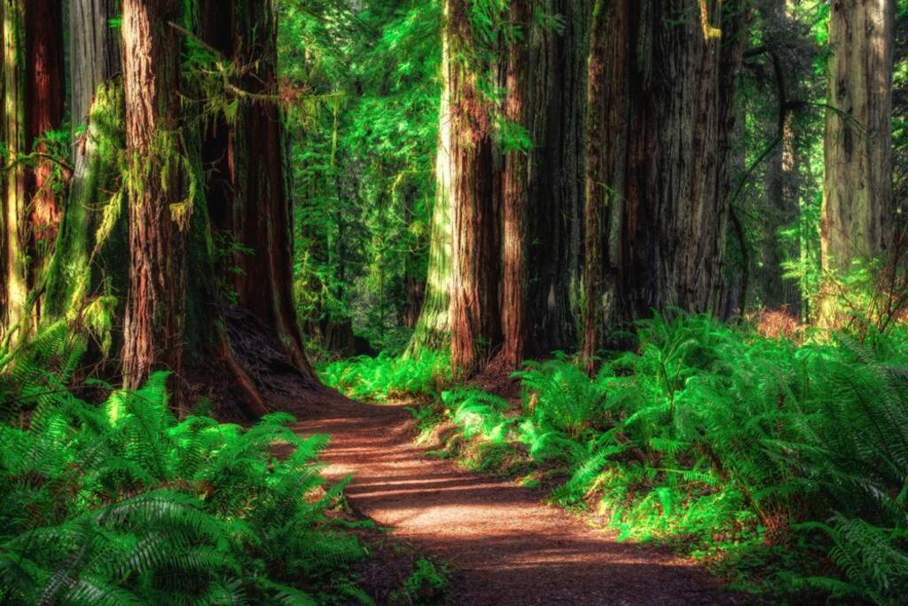 Bear Mountain - Suite 8 Grants Pass Dış mekan fotoğraf
